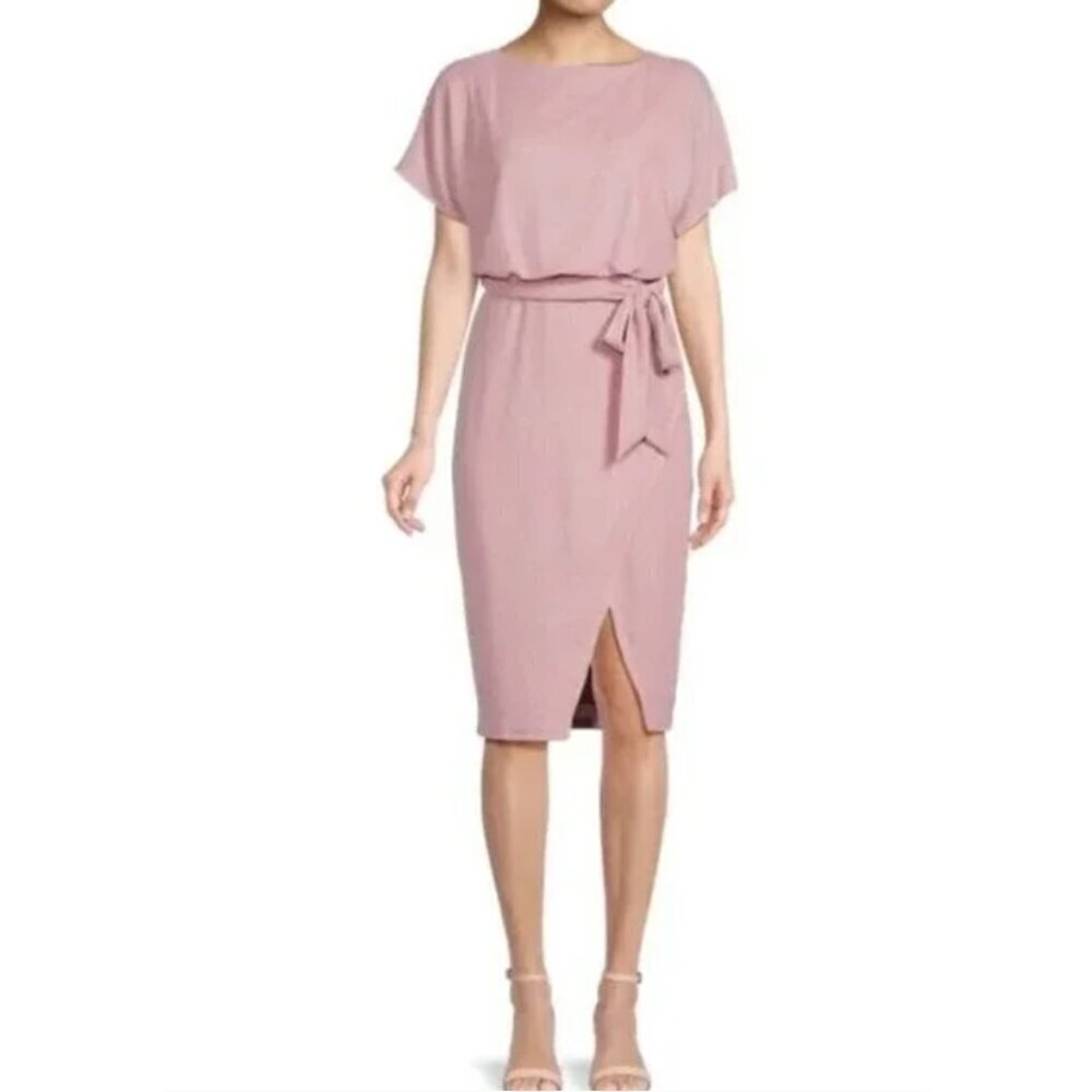 Kensie Shimmer Blouson Boatneck Dress